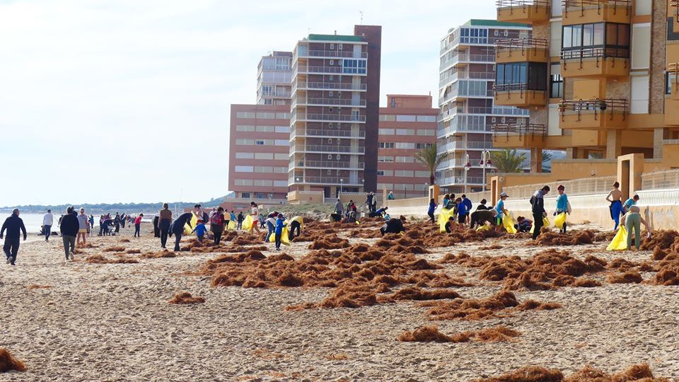 Expectacular Jornada de limpieza de la playa